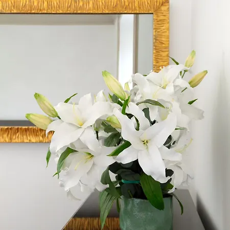 Charm & Elegance Off Via Veneto 2br, 2ba Apartman